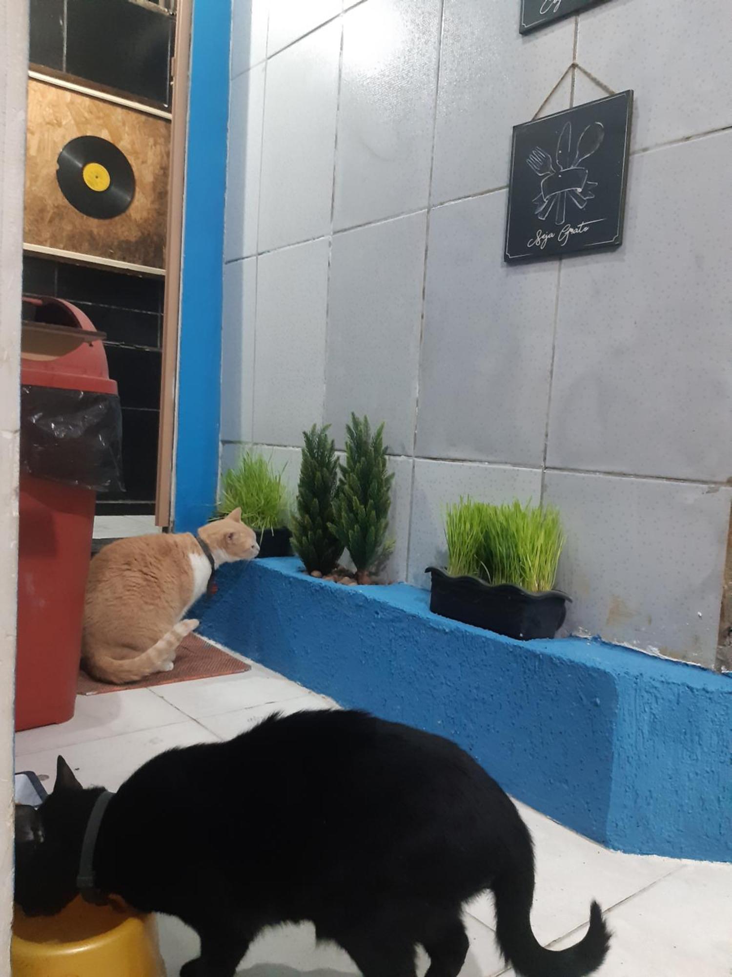 Sapucali Privative Hostel Rio de Janeiro Kültér fotó